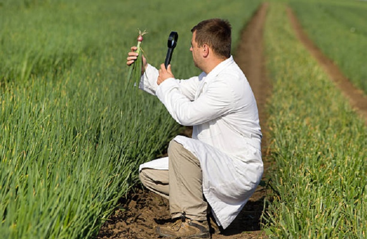 Πιστοποίηση 1.052 νέων γεωργικών συμβούλων