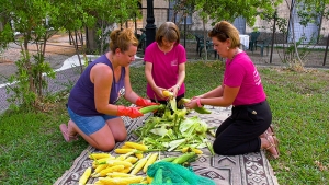 Ψήνουμε ρόκες καλαμποκιού και το γιορτάζουμε... (βίντεο)