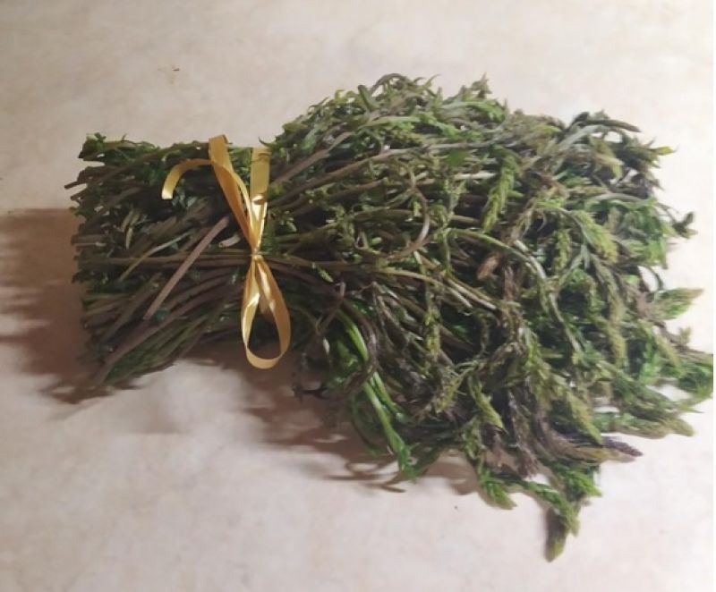 Μαζεύοντας σπαράγγια και οβριές…