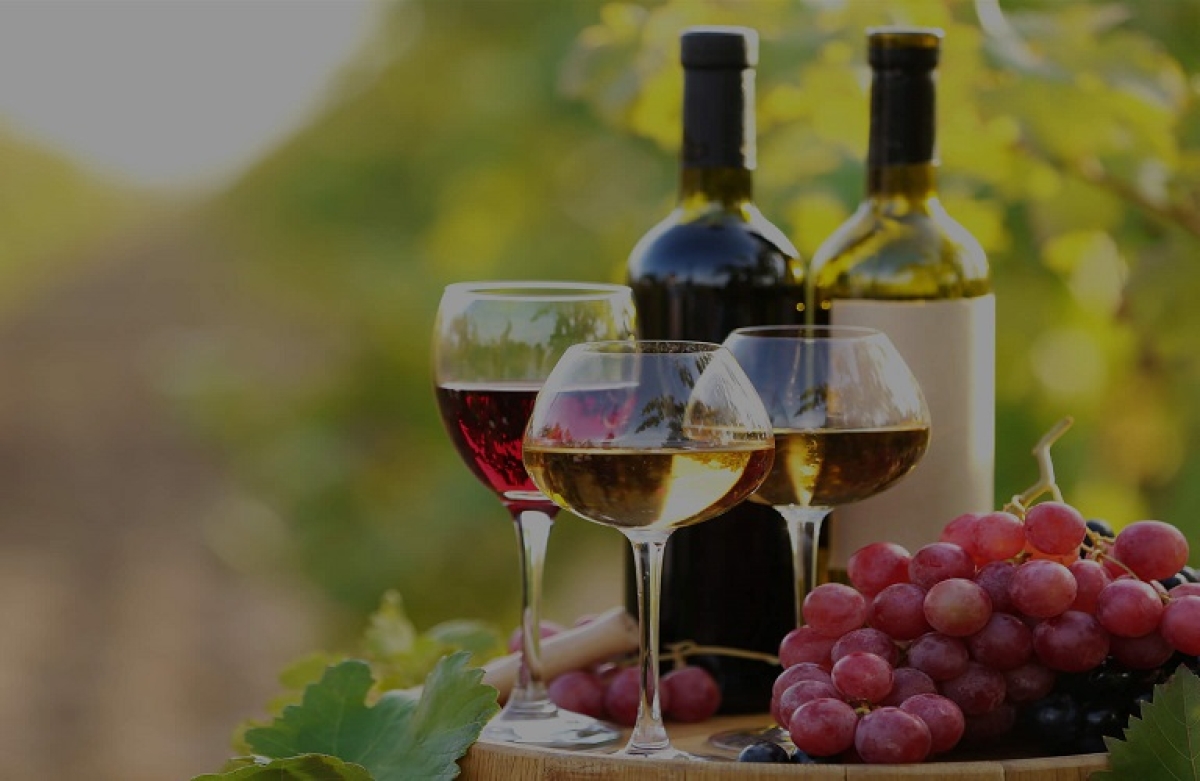 Οι ευρωβουλευτές ψηφίζουν υπέρ της προστασίας των ΠΟΠ και των ΠΓΕ για τον οίνο, εκτός EUIPO