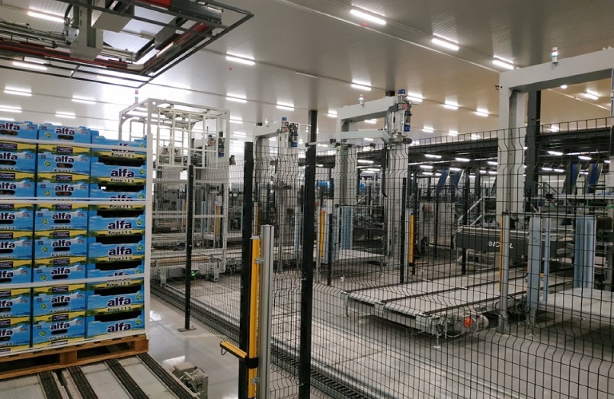 Εργάτες και εργάτριες παραγωγής ζητούνται από βιομηχανία επεξεργασίας φρούτων στο Αγρίνιο