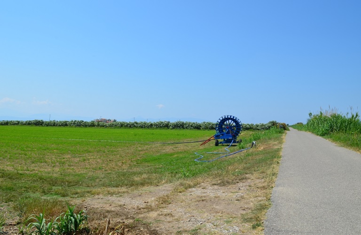 Συγκροτήθηκε η Επιτροπή Παρακολούθησης του Στρατηγικού Σχεδίου για τη νέα ΚΑΠ