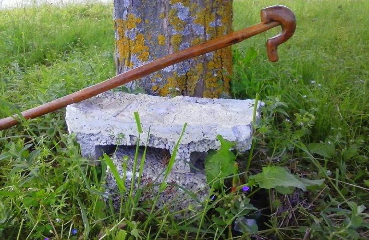 Η ιστορία της Κοινής Γεωργικής Πολιτικής