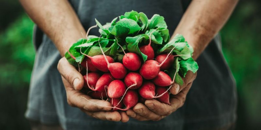 Αυτό είναι το λαχανικό που βοηθάει στην απώλεια βάρους και ρυθμίζει την πίεση