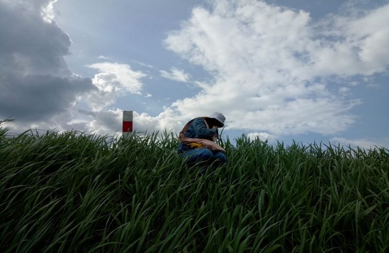 Οι λεπτομέρειες για νέες συμμετοχές σε συστήματα ποιότητας