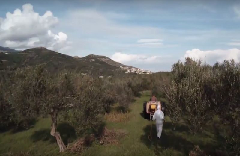 Προκήρυξη διαγωνισμού για τους δολωματικούς ψεκασμούς