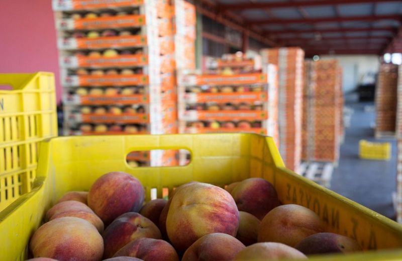 Σημαντική μείωση των ελληνικών εξαγωγών κατά 9,0% σημειώθηκε τον Ιούνιο 2019