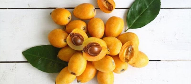 Μούσμουλα: Ένας μικρός «θησαυρός» για την υγεία