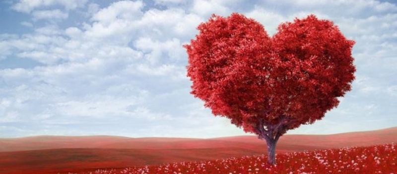 4+1 λόγοι υγείας για να γιορτάσετε τον Αγ.Βαλεντίνο!