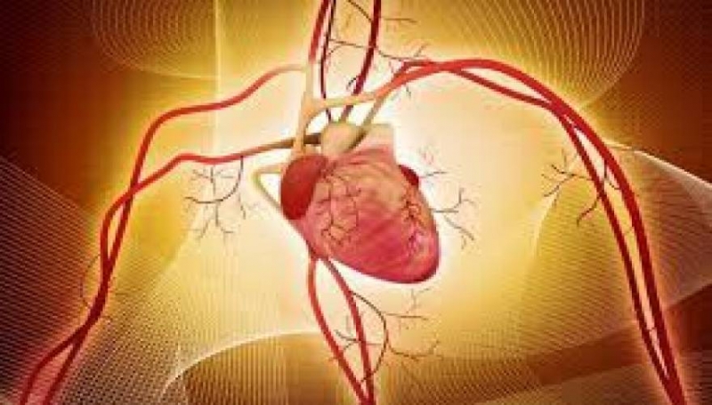 Θέλετε να... ξεβουλώσετε άμεσα τις αρτηρίες σας;- Πιείτε αυτό!