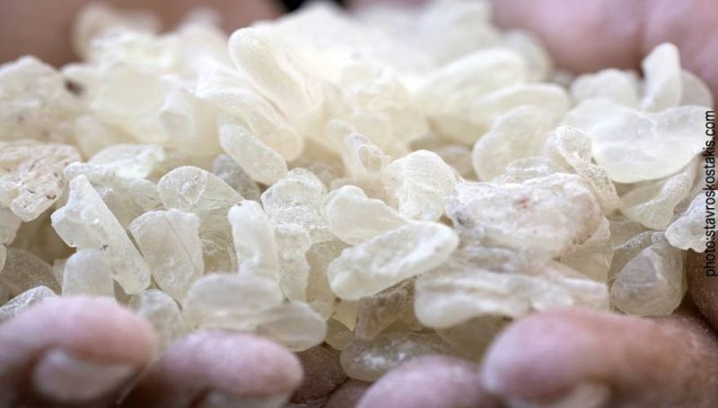 Η μαστίχα μειώνει χοληστερίνη και ζάχαρο