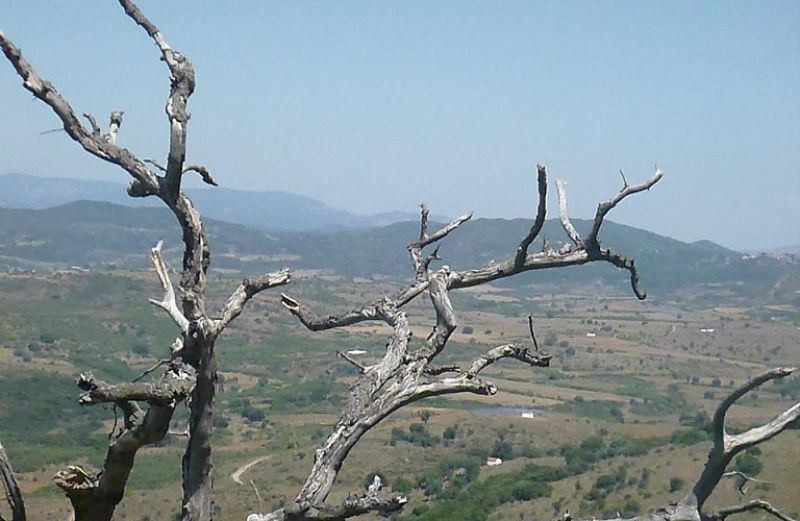 Σε πλήρη ενεργοποίηση ο νόμος για την παραχώρηση εκτάσεων του  ΥΠΑΑΤ σε κατά κύριο επάγγελμα αγρότες και σε ανέργους