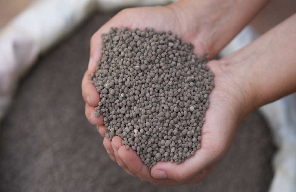 Οι τιμές στα βασικά αγροτικά προϊόντα – Πως διαμορφώθηκα το 2023