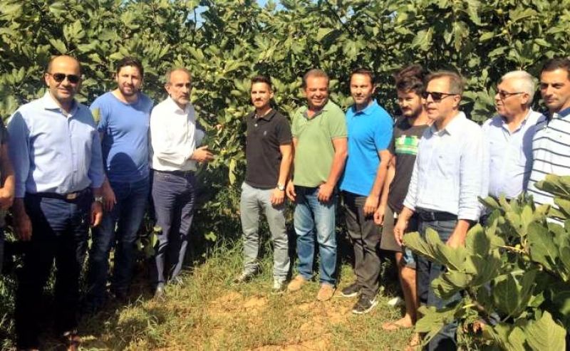 Επιπλέον 177 νέοι  αγρότες εντάσσονται  στο Υπομέτρο 6.1 «Εγκατάσταση Νέων Γεωργών» του ΠΑΑ 2014-2020 -  1.421 συνολικά αγρότες στη Δυτική Ελλάδα χρηματοδοτούνται με 28.202.624 €.