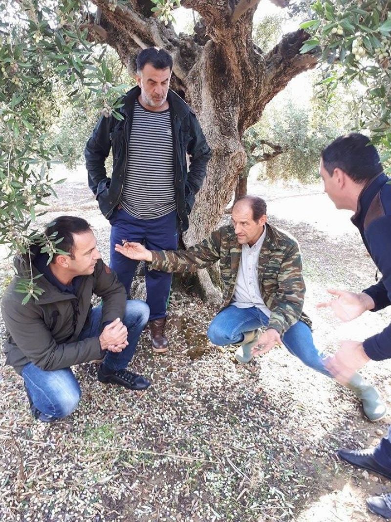 Επίσκεψη του Αντιπεριφερειάρχη Αγροτικής Ανάπτυξης στον ΕΛΓΑ Πάτρας για τις ζημιές από το χαλάζι και την βροχή