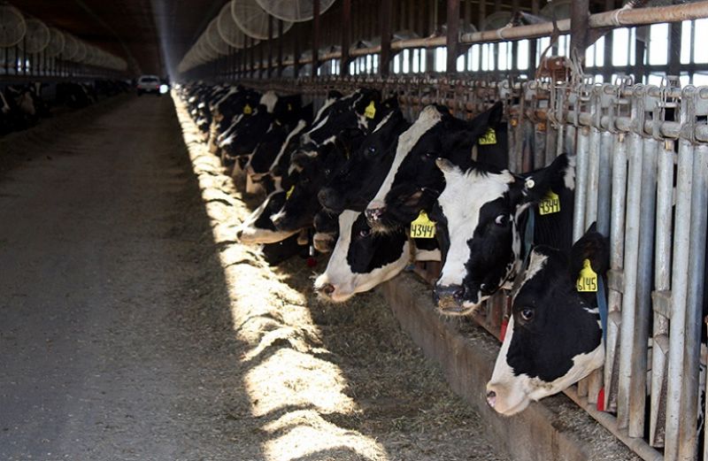 Νέα παράταση στην υποβολή αιτήσεων για τις δράσεις Μεταποίησης