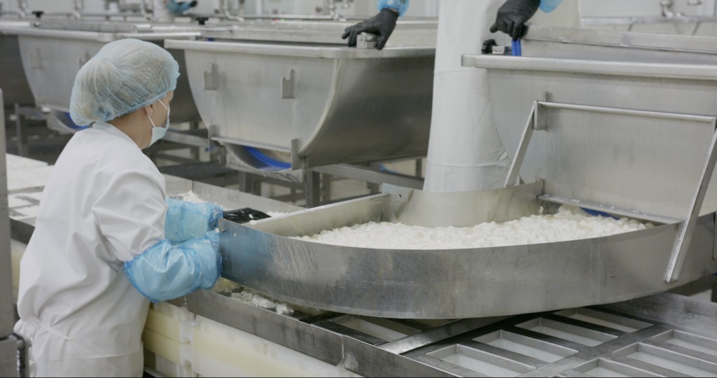 Τεχνολόγο τροφίμων προσλαμβάνει η ΑΜΦΙΓΑΛ