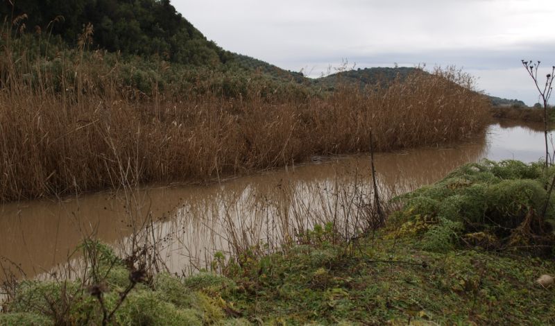 Άμεση ανταπόκριση του Υπουργείου Εθνικής Άμυνας σε αίτημα του Δήμου Ιερής Πόλης Μεσολογγίου για συντήρηση των αποστραγγιστικών τάφρων του Νεοχωρίου