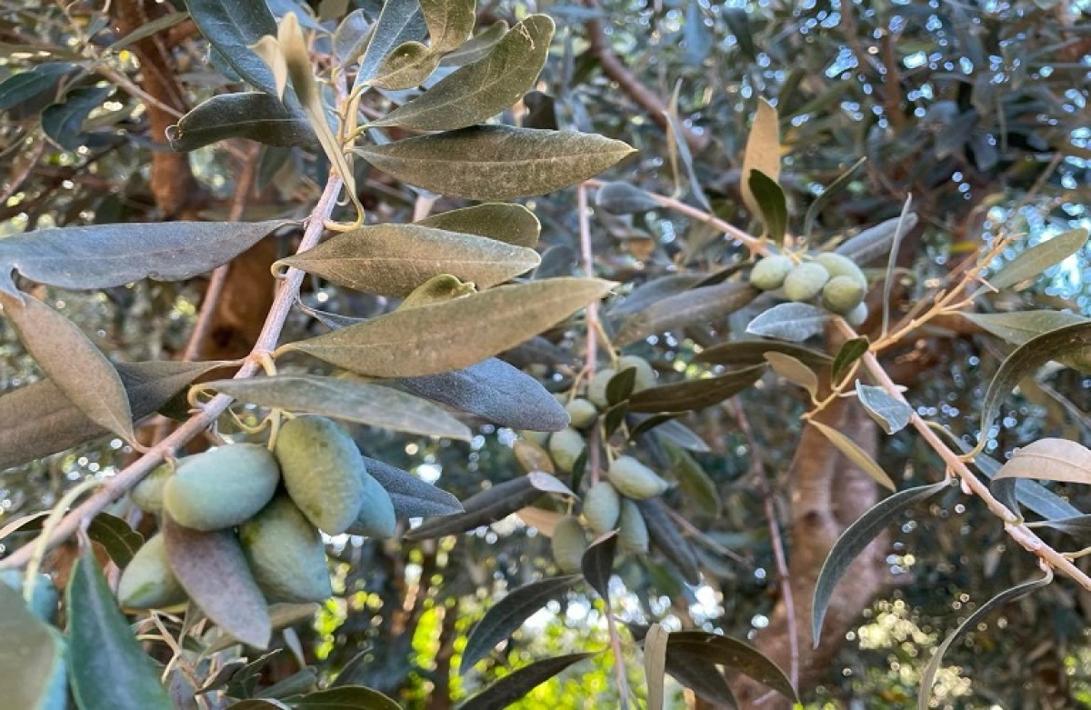 Σε δουλειά να βρισκόμαστε