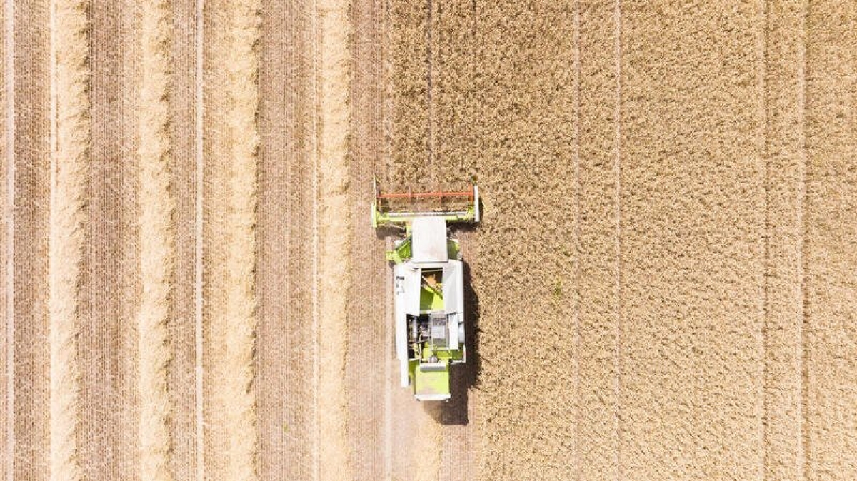 Πόλεμος στην Ουκρανία και επισιτιστική κρίση: Απομυθοποίηση σε 11 ερωτήσεις