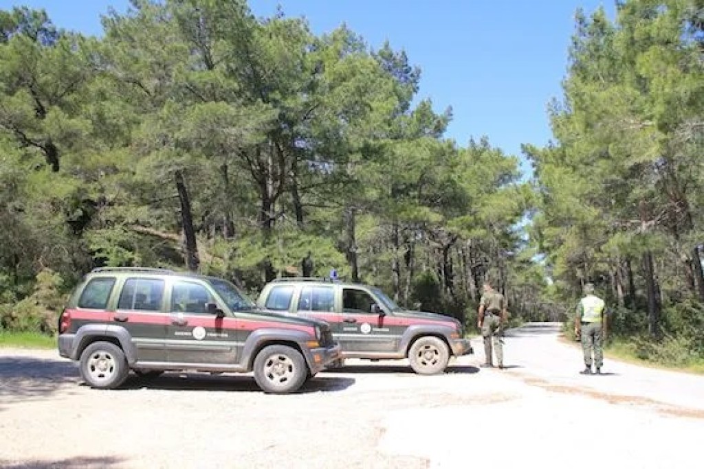 Ξεκίνησε η υποβολή αιτήσεων για θέσεις Δασοφυλάκων