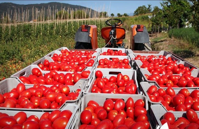 Προστασία των αγροτών από τις αθέμιτες εμπορικές πρακτικές