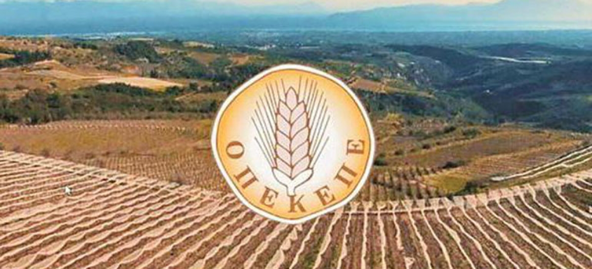 ΟΠΕΚΕΠΕ: Ξεκίνησαν οι αιτήσεις για διορθώσεις – τροποποιήσεις Ενιαίας Ενίσχυσης 2023