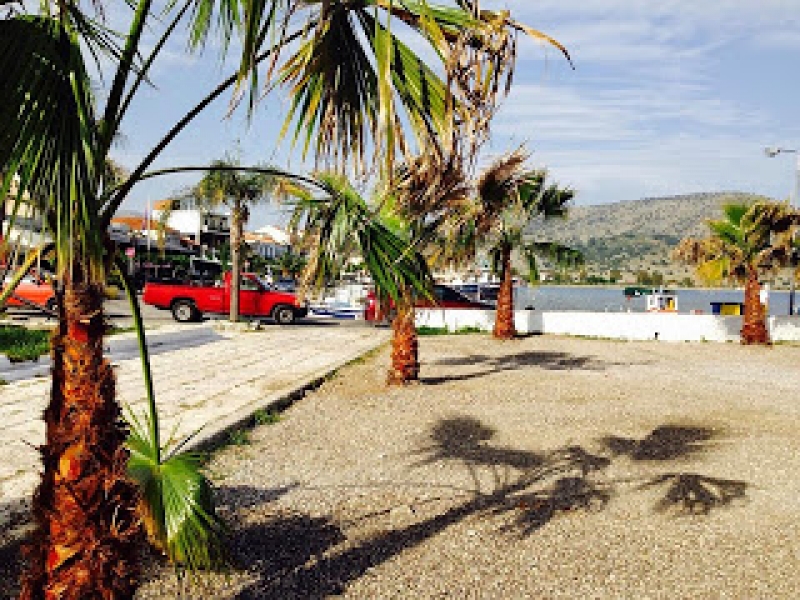 Ο... εξωτικός Αστακός!