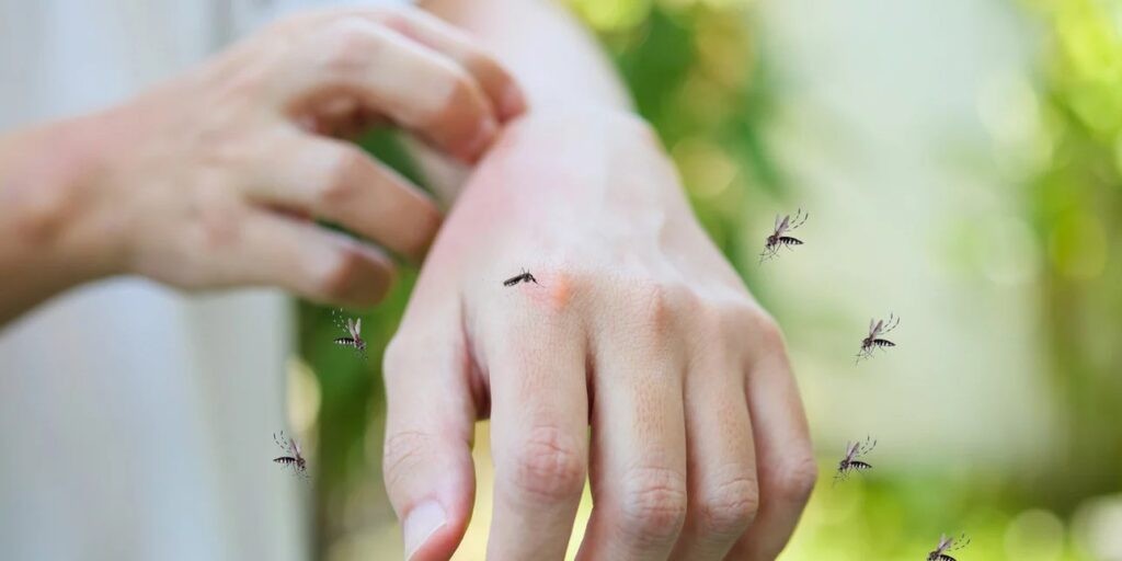 Αυτή είναι η ομάδα αίματος που προσελκύει περισσότερο τα κουνούπια