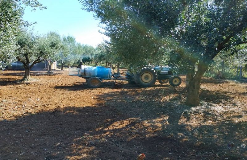 Έναρξη δολωματικών ψεκασμών για τον Δάκο στην Αιτωλοακαρνανία