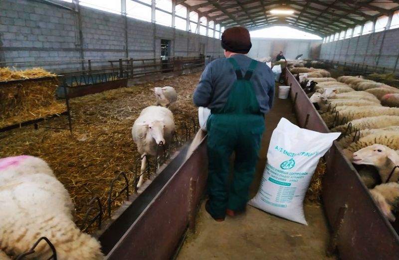 Μέχρι 30/6 η νομιμοποίηση κτηνοτροφικών εγκαταστάσεων