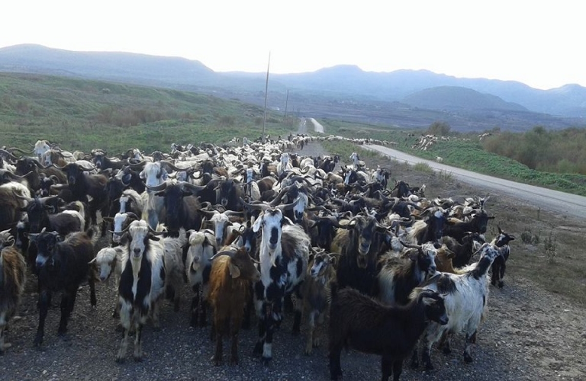 Εξισωτική Αποζημίωση 2023