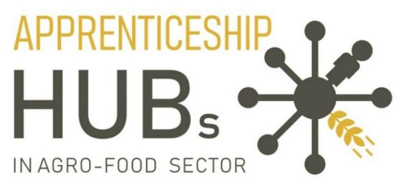 ΙΝΑΣΟ – ΠΑΣΕΓΕΣ: Υλοποίηση του προγράμματος Apprenticeship HUB