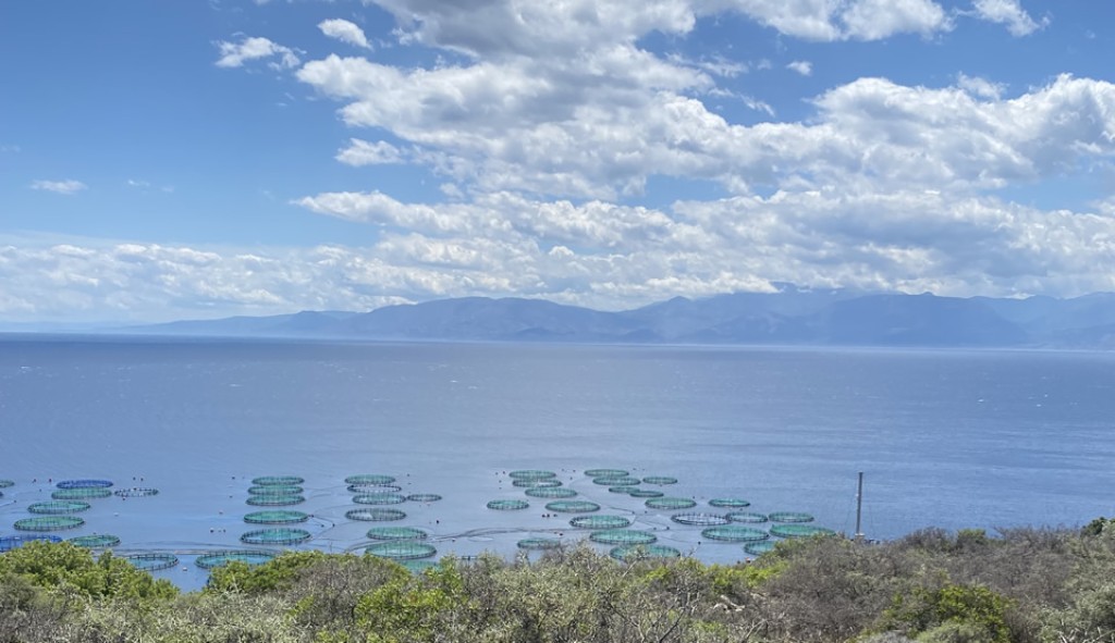 Ιχθυοκαλλιέργεια &amp; Ιχθυοκλοπές. Μηδενική η ανοχή του Νόμου