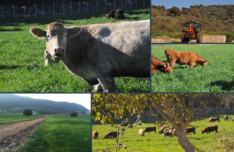 ΟΠΕΚΕΠΕ και Έλεγχοι – Ενστάσεις - Κυρώσεις