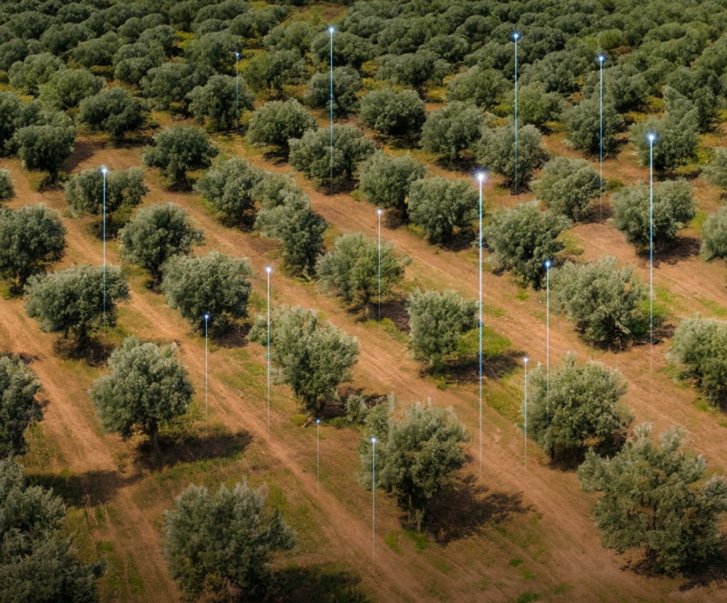 Συνεχίζεται η πορεία προς τον Ψηφιακό Μετασχηματισμό του Γεωργικού Τομέα - «Γεωργία με Ευφυΐα»