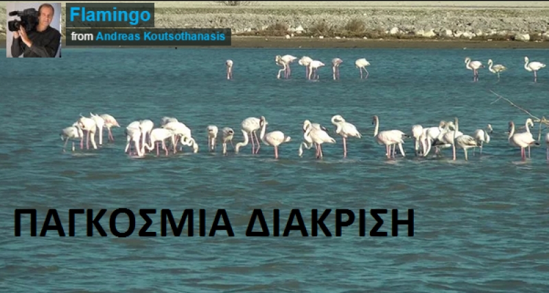 Παγκόσμια διάκριση για τον Αιτωλοακαρνάνα Ανδρέα Κουτσοθανάση