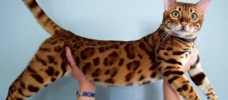 24 τόσο παράξενα πράγματα που θα τα σκέφτεστε όλη μέρα!