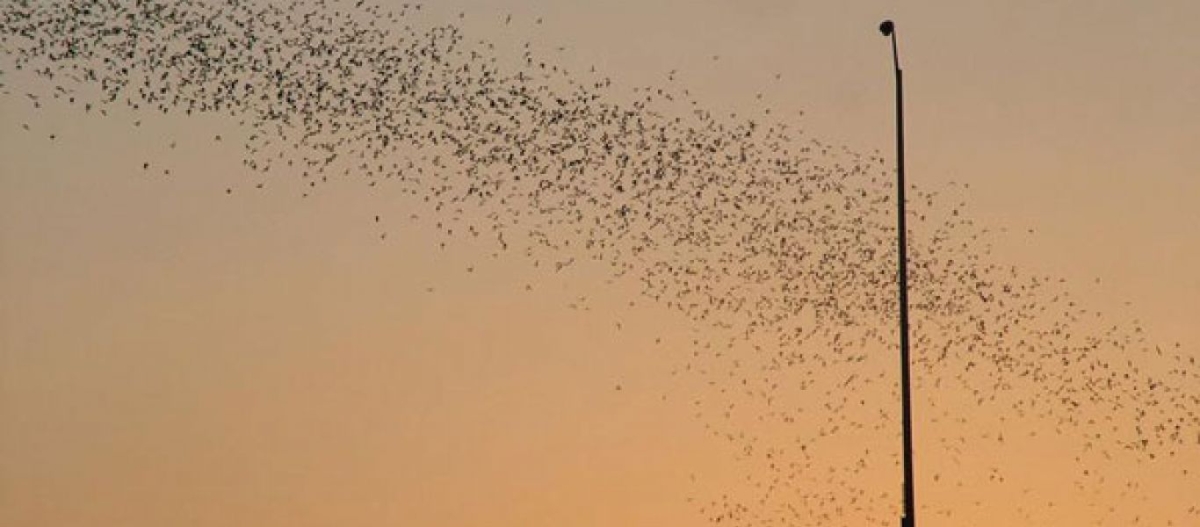 Δέκα παράξενα αλλά εντυπωσιακά φαινόμενα της φύσης σε όλο τον κόσμο