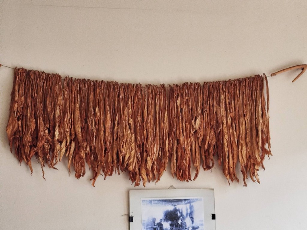 ΚΑΠΝΟΣ: Μαθητές του Αγρινίου «αρμαθιάζουν» μικροϊστορίες του καπνού…