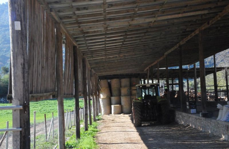 Πρόσκληση υποβολής αιτημάτων πληρωμής δικαιούχων του Μέτρου 9