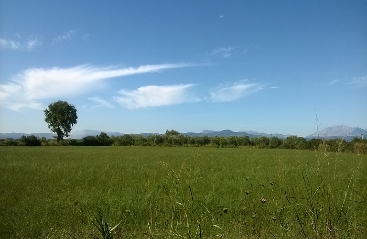 Υποστήριξη του κοινωνικοοικονομικού ιστού των αγροτικών περιοχών