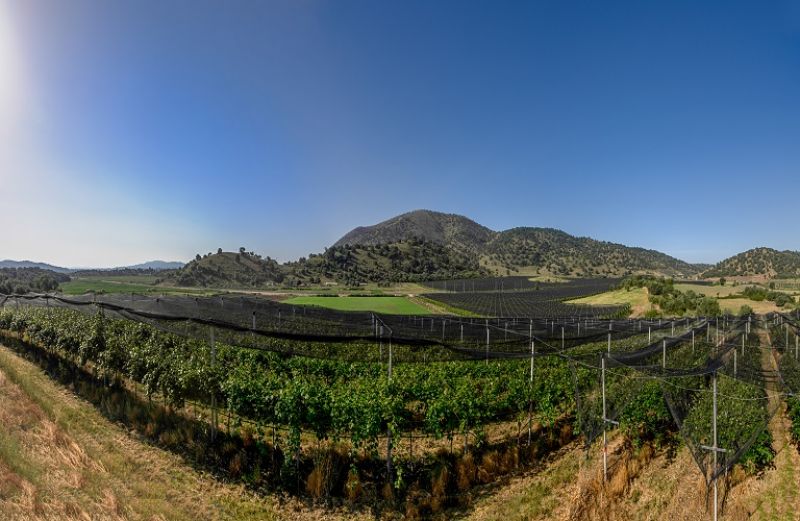 Ξεκίνησαν οι αιτήσεις για το νέο πρόγραμμα Βιολογικής Γεωργίας