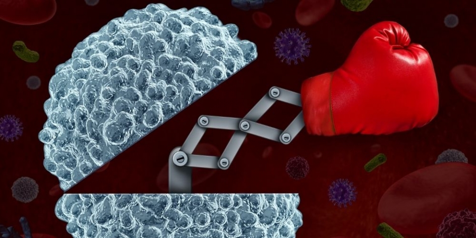 Ανοσοποιητικό Σύστημα και Διατροφή