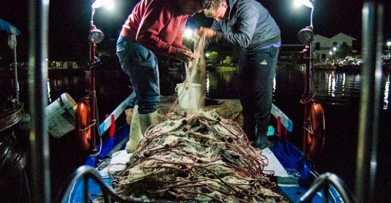 Ψάρεμα γαρίδας στη Μπούκα Αμφιλοχίας (φωτο)