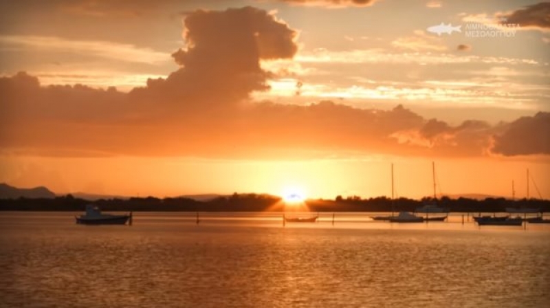 Ντοκυμαντέρ και σποτς για το Εθνικο Πάρκο των λιμνοθαλασσών-εκβολών και Εχινάδων