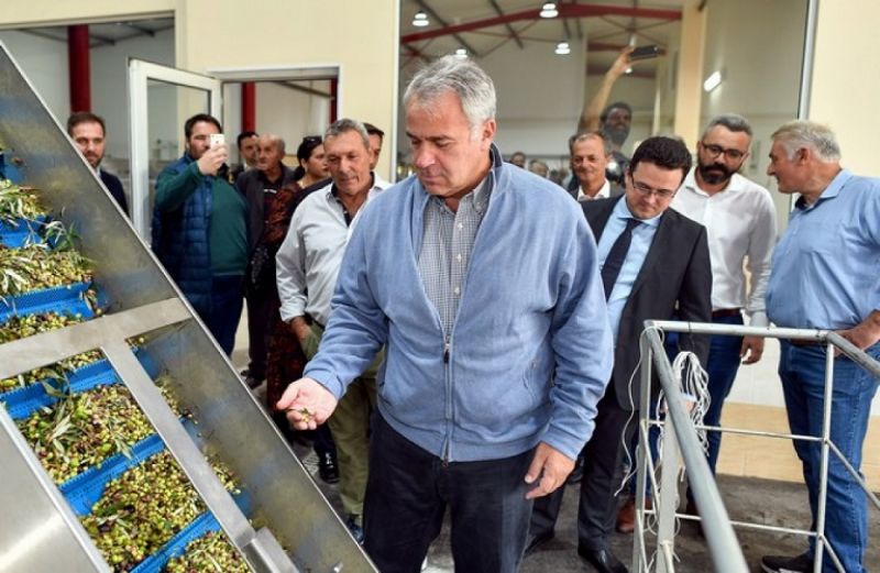 Μέτρα για τη στήριξη των ελαιοπαραγωγών