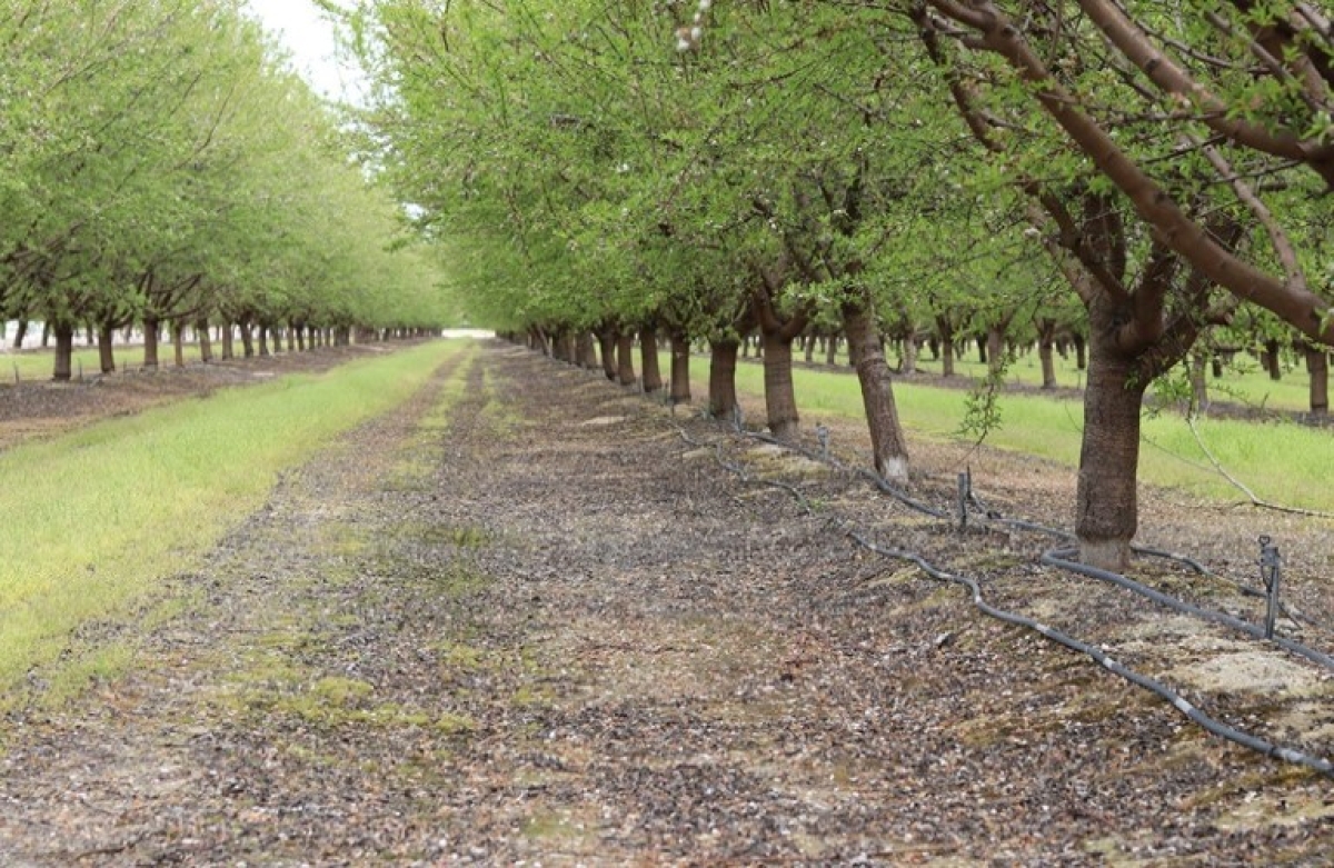 Παράταση υποβολής παραστατικών για το Κομφούζιο