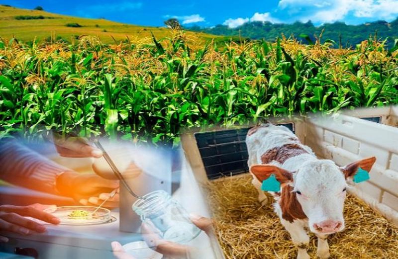 Νέες προδιαγραφές για την Ολοκληρωμένη Διαχείριση