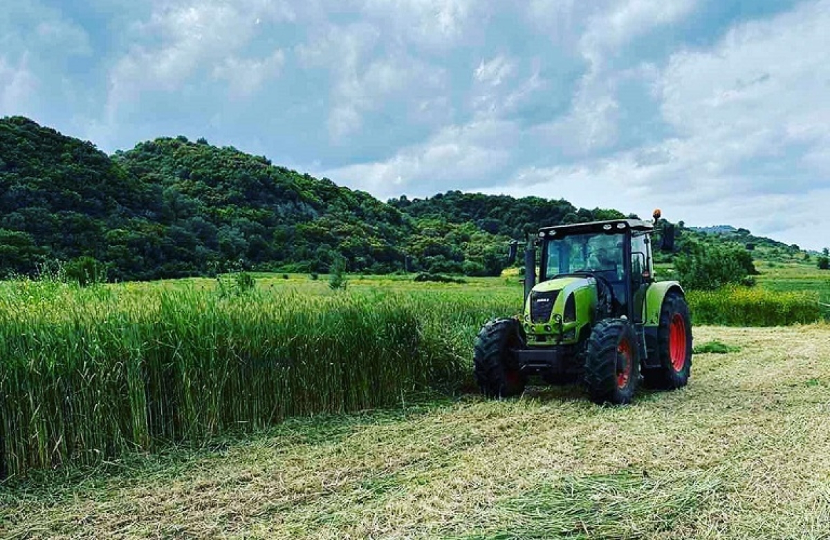 Βασική, Αναδιανεμητική και στήριξη για Γεωργούς Νεαρής Ηλικίας: πως θα δοθούν